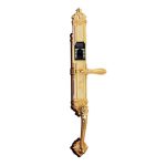 دستگیره دیجیتال F2160 آی کی - IK
