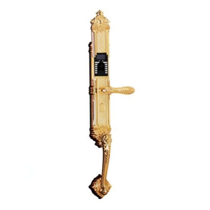 دستگیره دیجیتال F2160 آی کی - IK